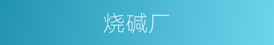 烧碱厂的同义词
