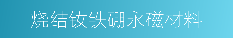 烧结钕铁硼永磁材料的同义词