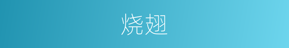 烧翅的同义词