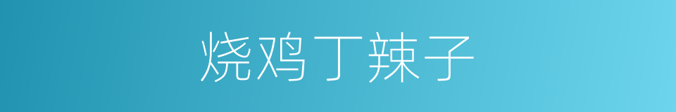 烧鸡丁辣子的同义词