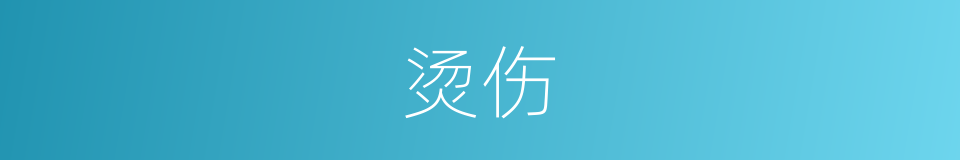 烫伤的同义词