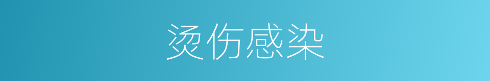 烫伤感染的同义词