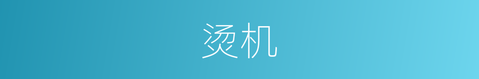 烫机的同义词
