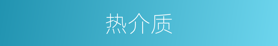 热介质的同义词