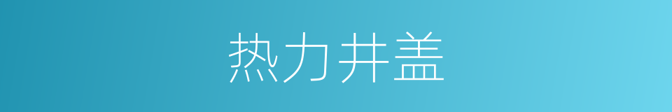 热力井盖的同义词