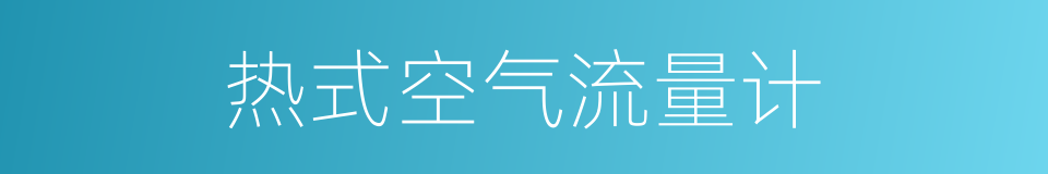 热式空气流量计的同义词