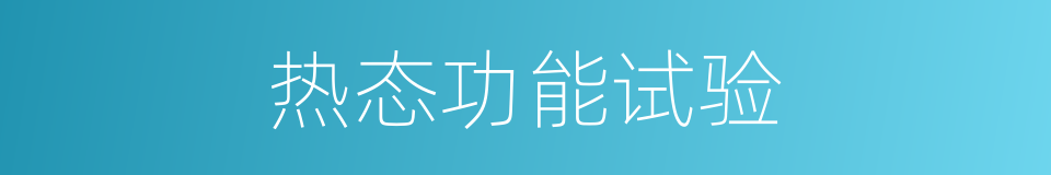 热态功能试验的同义词