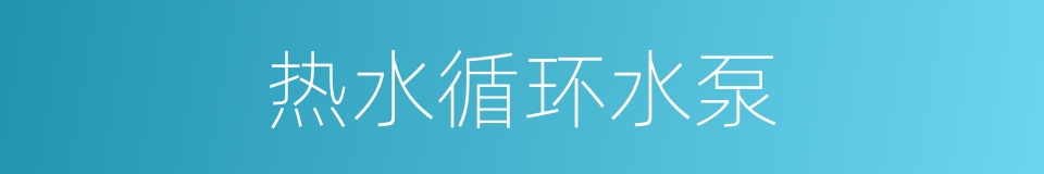 热水循环水泵的同义词