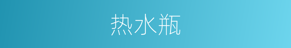 热水瓶的意思