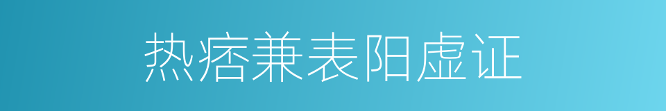 热痞兼表阳虚证的同义词