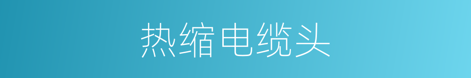热缩电缆头的同义词