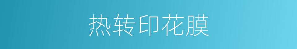 热转印花膜的同义词