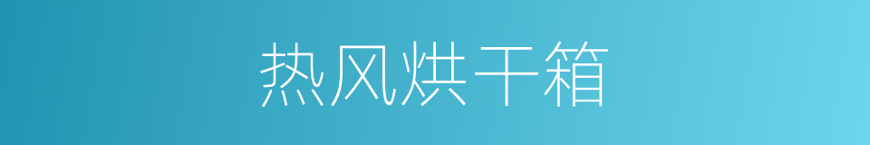 热风烘干箱的同义词