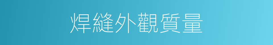 焊縫外觀質量的同義詞