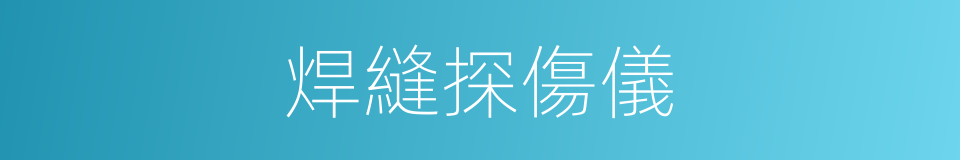 焊縫探傷儀的同義詞