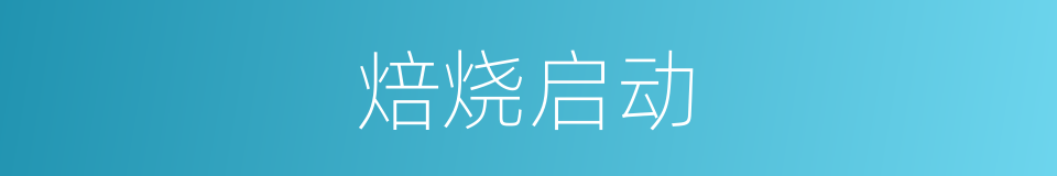 焙烧启动的同义词
