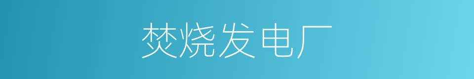 焚烧发电厂的同义词