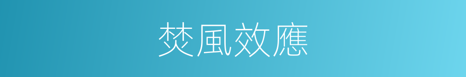 焚風效應的同義詞