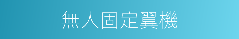 無人固定翼機的同義詞