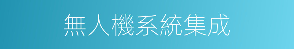 無人機系統集成的同義詞