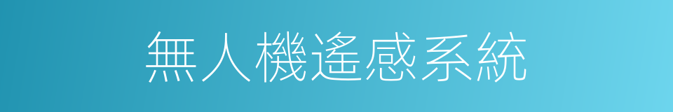 無人機遙感系統的同義詞