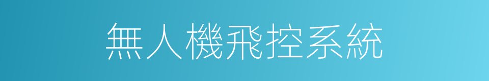 無人機飛控系統的同義詞