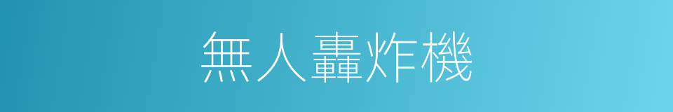 無人轟炸機的同義詞