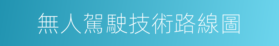 無人駕駛技術路線圖的同義詞