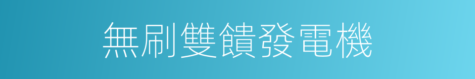 無刷雙饋發電機的同義詞