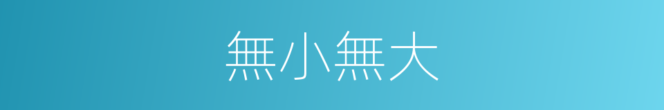 無小無大的意思