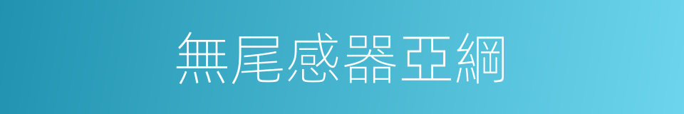 無尾感器亞綱的同義詞