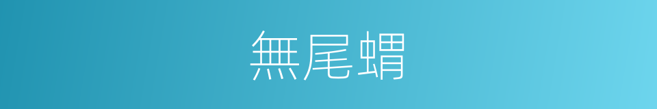 無尾蝟的同義詞