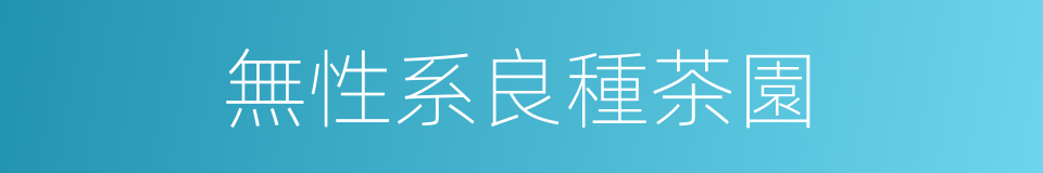 無性系良種茶園的同義詞