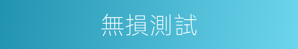 無損測試的同義詞