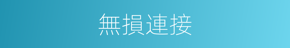 無損連接的同義詞