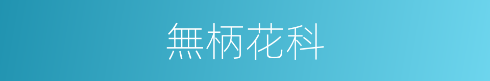 無柄花科的同義詞