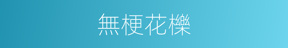 無梗花櫟的同義詞