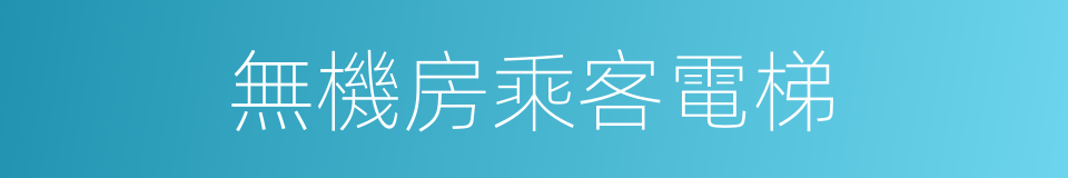 無機房乘客電梯的同義詞