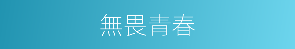 無畏青春的同義詞