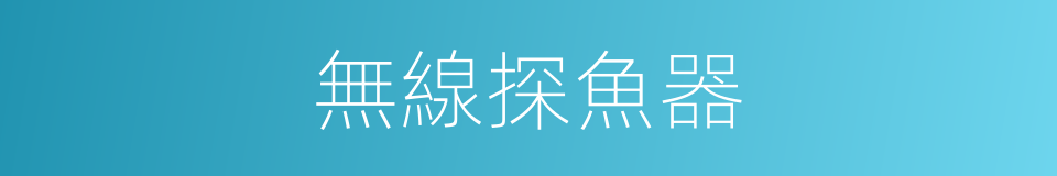 無線探魚器的同義詞