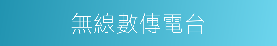 無線數傳電台的同義詞