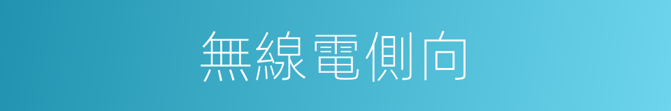 無線電側向的同義詞