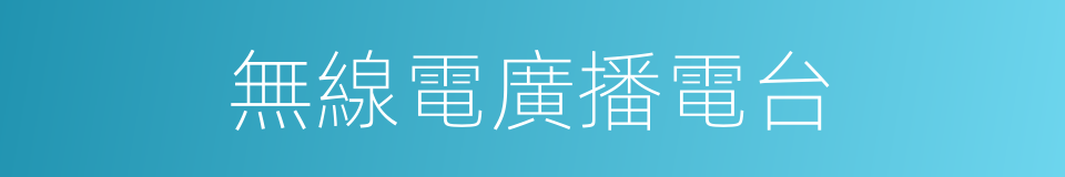 無線電廣播電台的同義詞