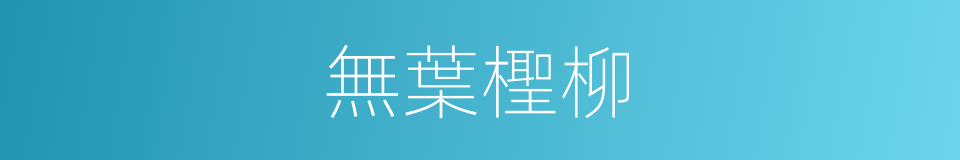 無葉檉柳的同義詞