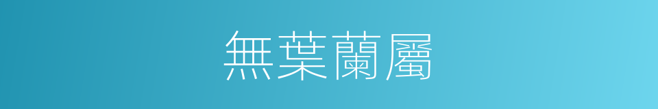 無葉蘭屬的同義詞
