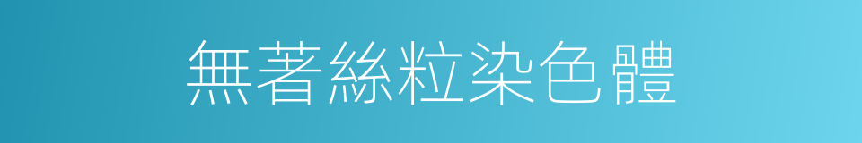 無著絲粒染色體的同義詞