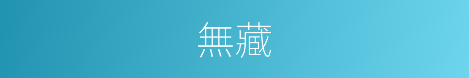 無藏的意思