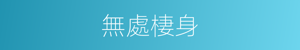無處棲身的意思