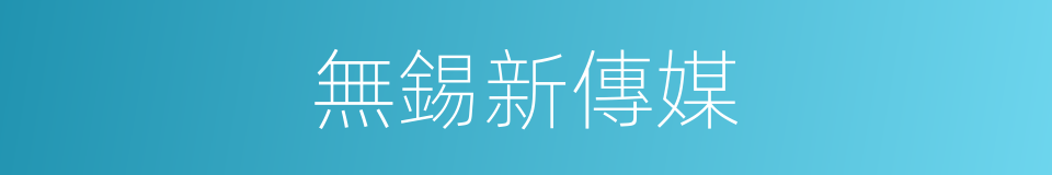 無錫新傳媒的同義詞