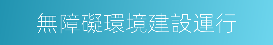 無障礙環境建設運行的同義詞